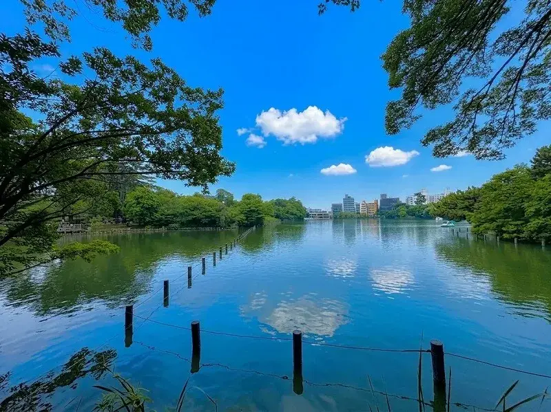 3SLDK Property Ota-ku Tokyo (28)
