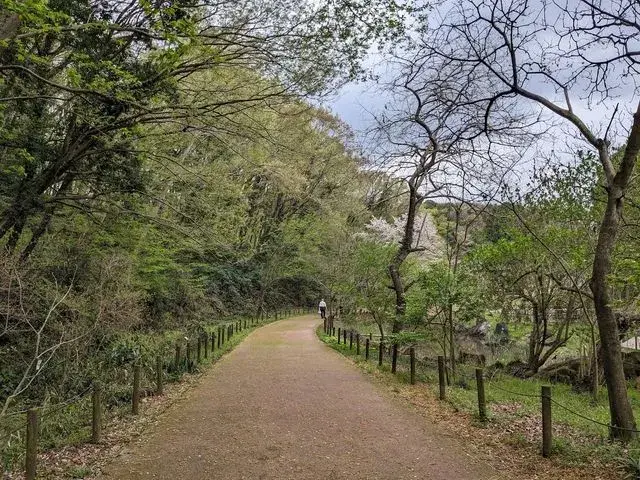4LDK Property Zama City Kanagawa Prefecture (29)