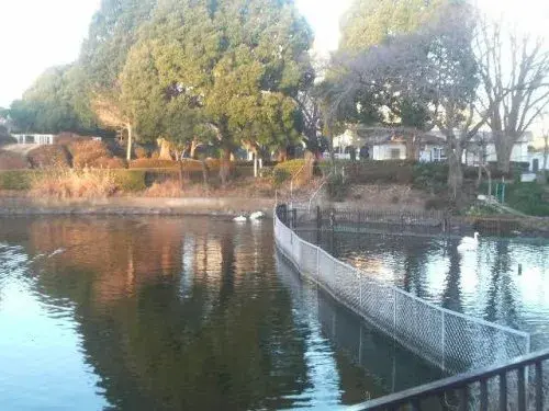 5LDK Property Sagamihara City Kanagawa Prefecture (7)