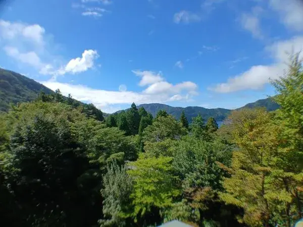 Propriété 6SK Hakone-machi Préfecture de Kanagawa (17)