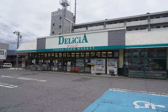 4LDK Matsumoto City Nagano Prefecture (24)