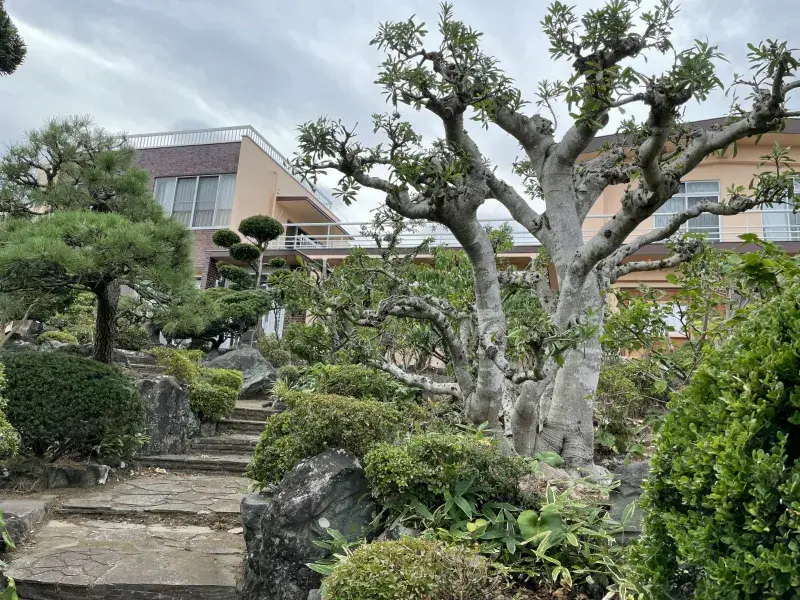 Akiya in 伊東市