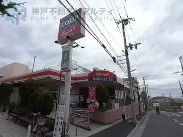 4LDK Property Kobe City Hyogo Prefecture (28)