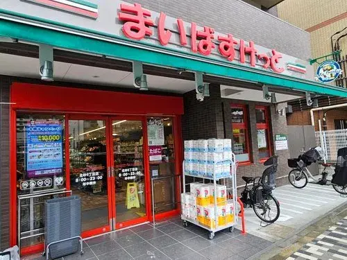 3LDK+S Property Koto Ward Tokyo (13)