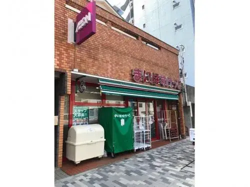 3LDK+S Property Koto Ward Tokyo (14)