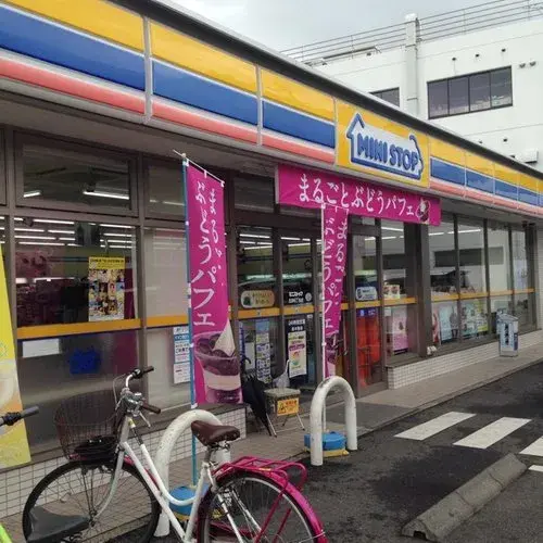 3LDK+S Property Koto Ward Tokyo (15)