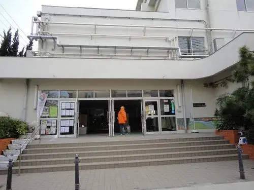3LDK+S Property Koto Ward Tokyo (19)