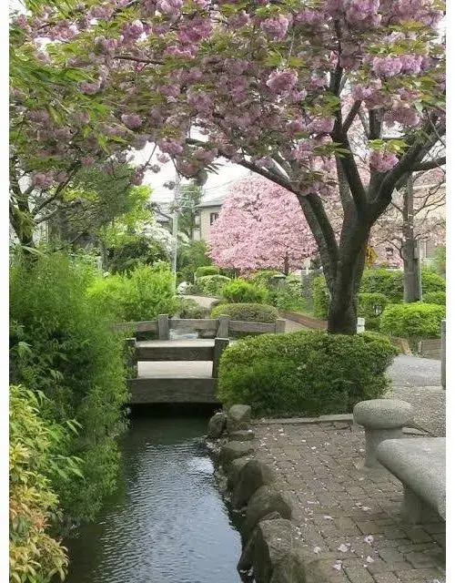 2LDK+S Property Komae City Tokyo (12)
