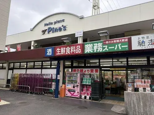 4LDK房产 茅崎市 神奈川县 (9)