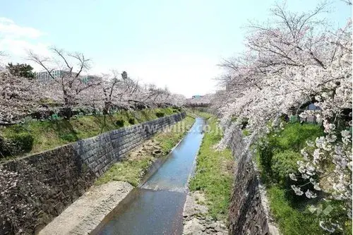 3SLDK Property Nagoya City Aichi (7)