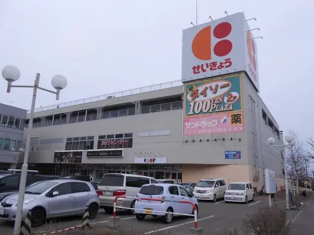 4LDK Property Sapporo City Hokkaido (24)