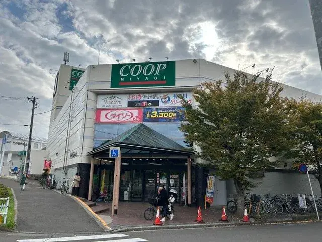 2LDK Property Sendai City Miyagi Prefecture (27)