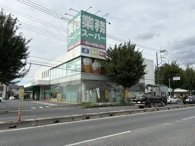 4LDK Hasuda City Saitama Prefecture (11)