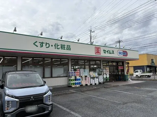 4LDK Hasuda City Saitama Prefecture (12)