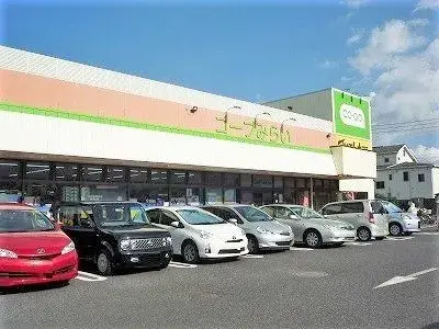 3LDK Funabashi City Chiba Prefecture (14)