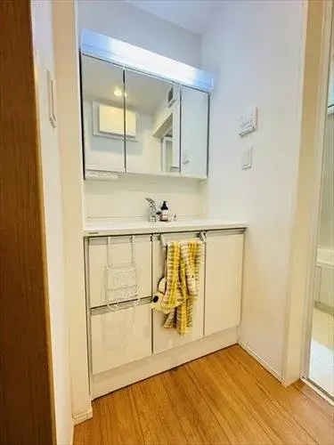 2SLDK Ota Ward Tokyo (18)