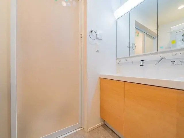 1LDK Property Suginami-ku Tokyo (18)