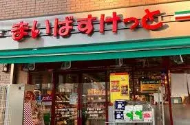 2LDK Property Bunkyo-ku Tokyo (29)