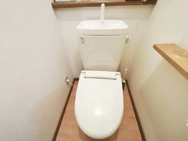1SLDK Property Edogawa-ku Tokyo (14)