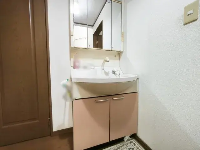 1SLDK Property Edogawa-ku Tokyo (15)
