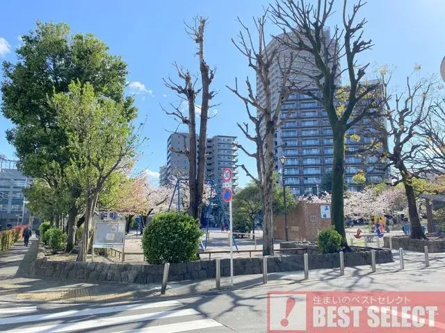 5LDK Property Arakawa-ku Tokyo (10)