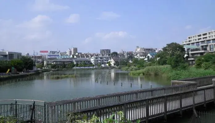7LDK物件 大田区 东京都 (14)
