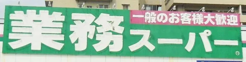 5SDK Nagoya City Aichi Prefecture (4)