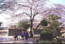 3SLDK物件 京都市 京都府 (10)