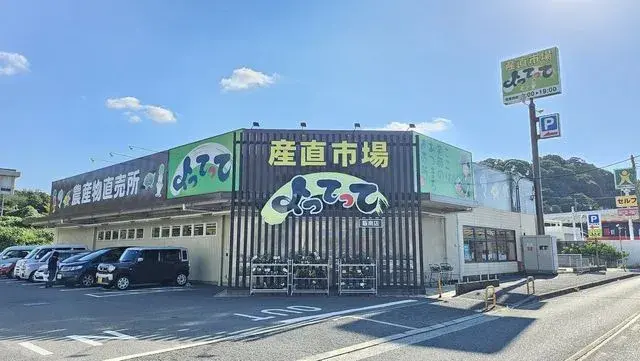 4LDK Property Hannan City Osaka Prefecture (23)