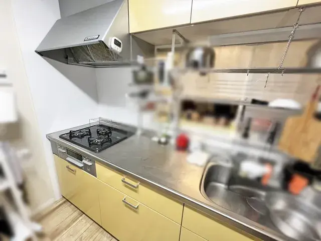 3LDK Property Kobe City Hyogo Prefecture (14)