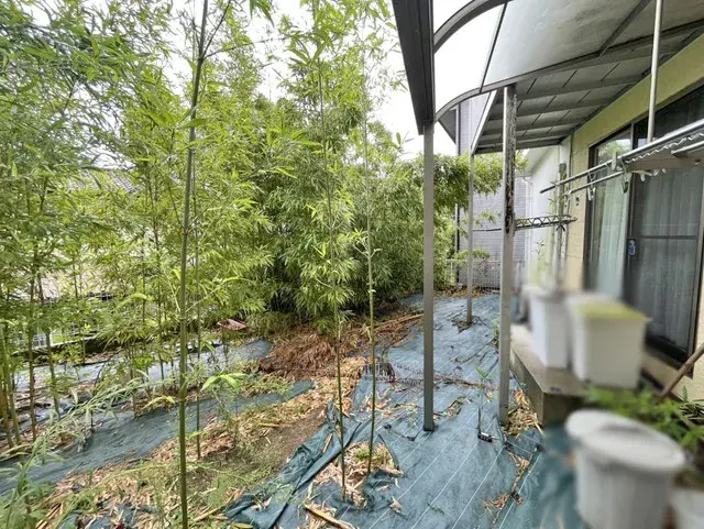 3LDK Property Kobe City Hyogo Prefecture (5)