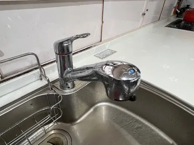 8LDK مدينة كيتاكيوشو حي كوكوراكيتا، محافظة فوكوكا (19)