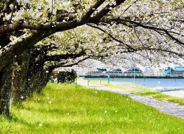 3LDK Propiedad Ciudad de Oita Prefectura de Oita (26)