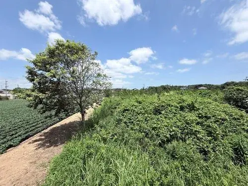 4LDK+2S物件 鹿嶋市 茨城県 (8)