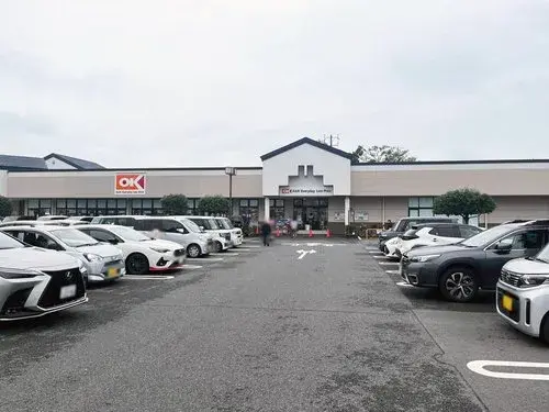 4LDDKK+2S 川越市 埼玉县 (6)