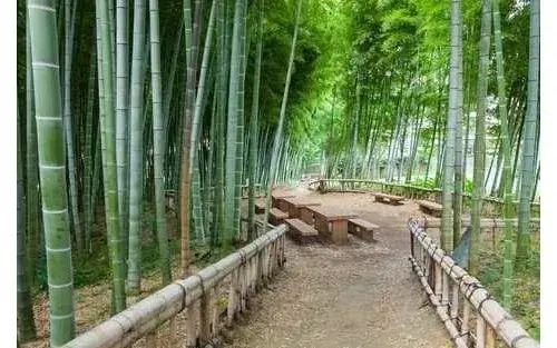 4LDK Ciudad de Higashikurume Tokio (15)