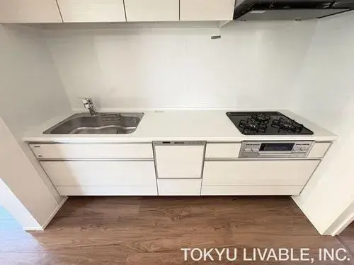 2LDK Edogawa-ku Tokyo (15)