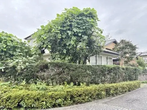 4LDK物件 稲城市 東京都 (5)