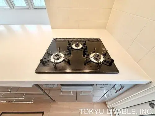 4LDK房产 相模原市南区 神奈川县 (13)