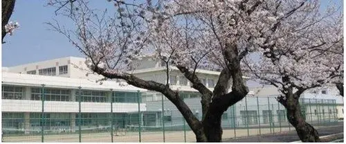 3LDK物件 新潟市江南区 新潟県 (3)