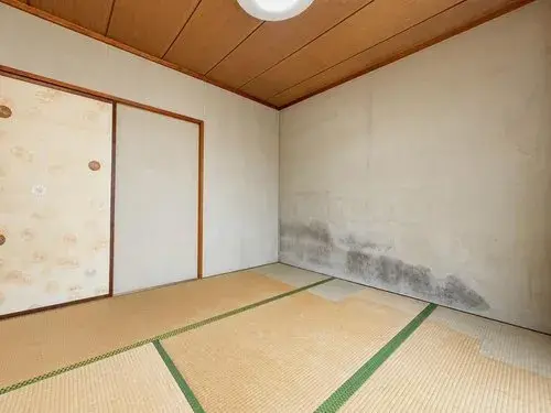 4DK Sabae City Fukui Prefecture (10)