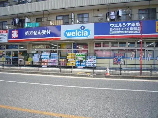 4LDK Property Koshigaya City Saitama Prefecture (8)