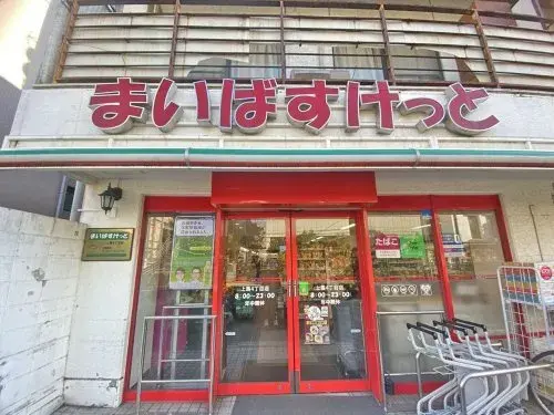 5SLDK Setagaya Ward Tokyo (6)