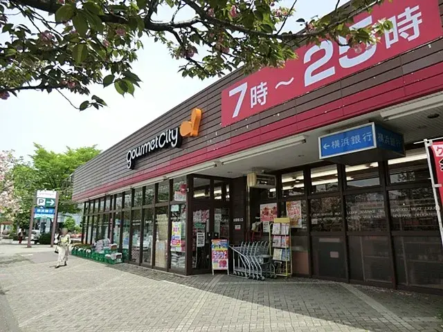5LDK Property Machida City Tokyo (11)
