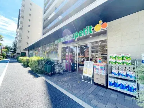 5SLDK Property Meguro-ku Tokyo (23)