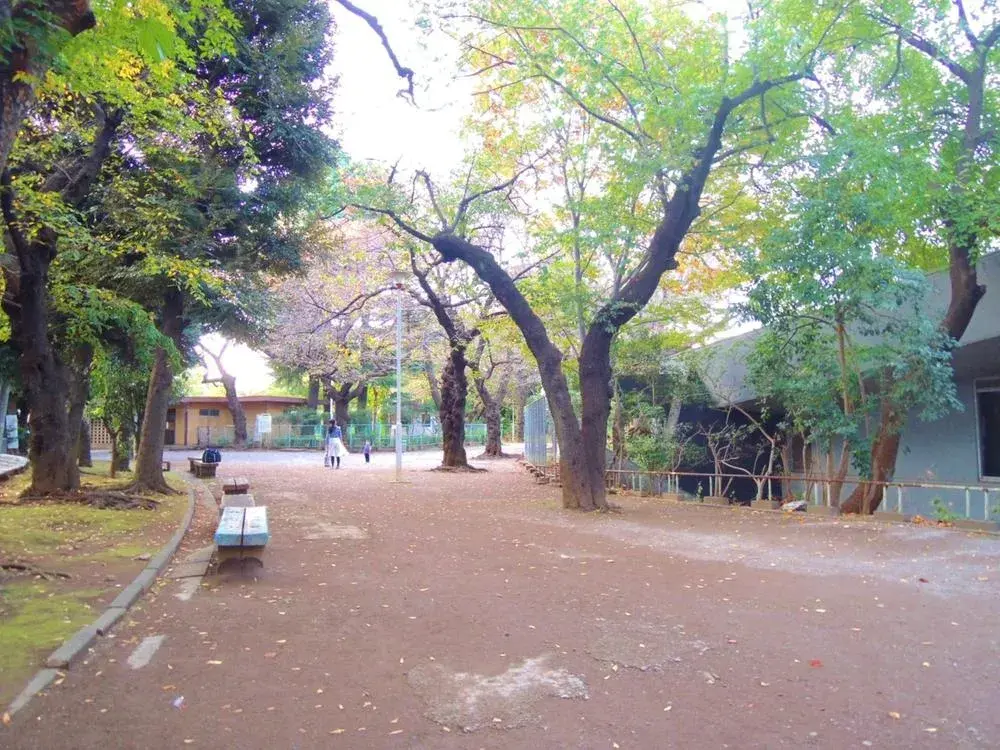 2SLDK Property Itabashi-ku Tokyo (19)