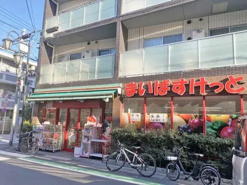 3LDK Property Setagaya-ku Tokyo (6)