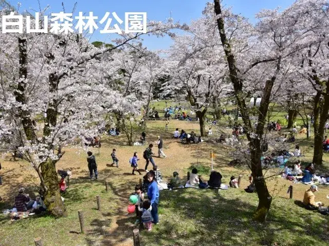 5LDK Property Atsugi City Kanagawa Prefecture (21)