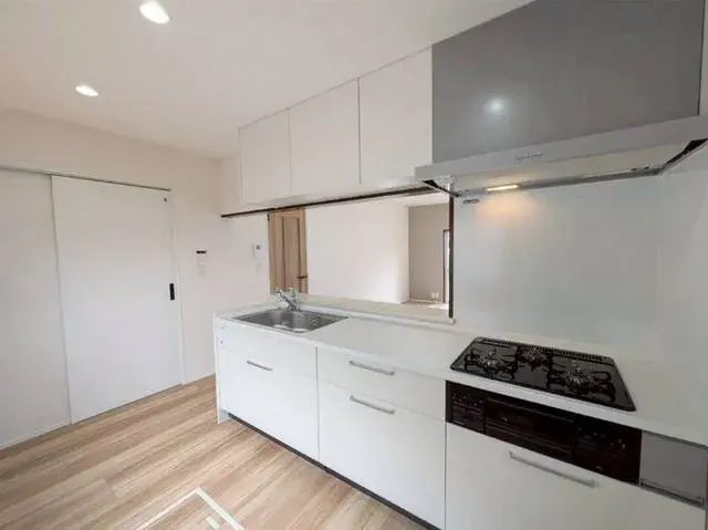 4LDK Property Toyama City Toyama Prefecture (14)
