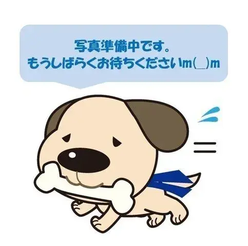 7LDK Fukui City Fukui Prefecture (6)